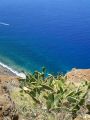 Madeira0760.JPG